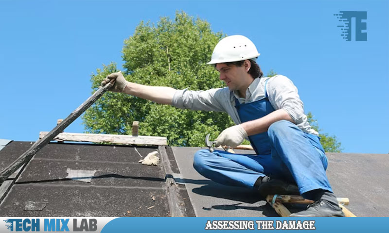 Assessing The Damage