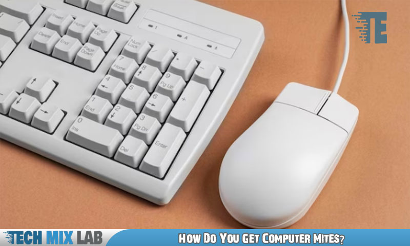 How Do You Get Computer Mites?