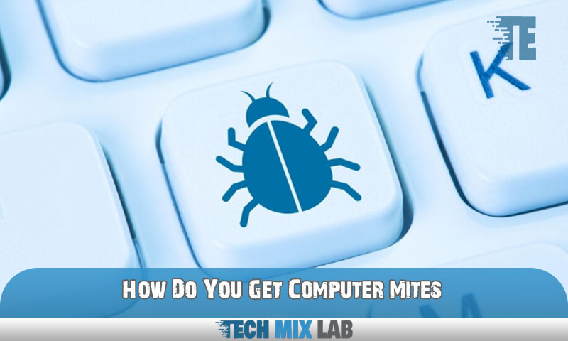 How Do You Get Computer Mites